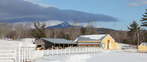 Remick Country Doctory Museum and Farm