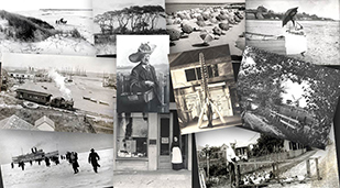 Collection of photos