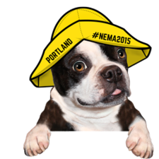 Finding NEMA 2015
